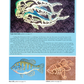 Marine Life Patterns For The Scroll Saw