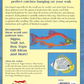 Marine Life Patterns For The Scroll Saw