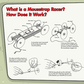 Doc Fizzix Mousetrap Racers