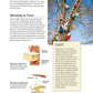 Birdhouses Boxes & Feeders for the Backyard Hobbyist