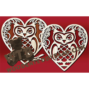 Owl in Heart