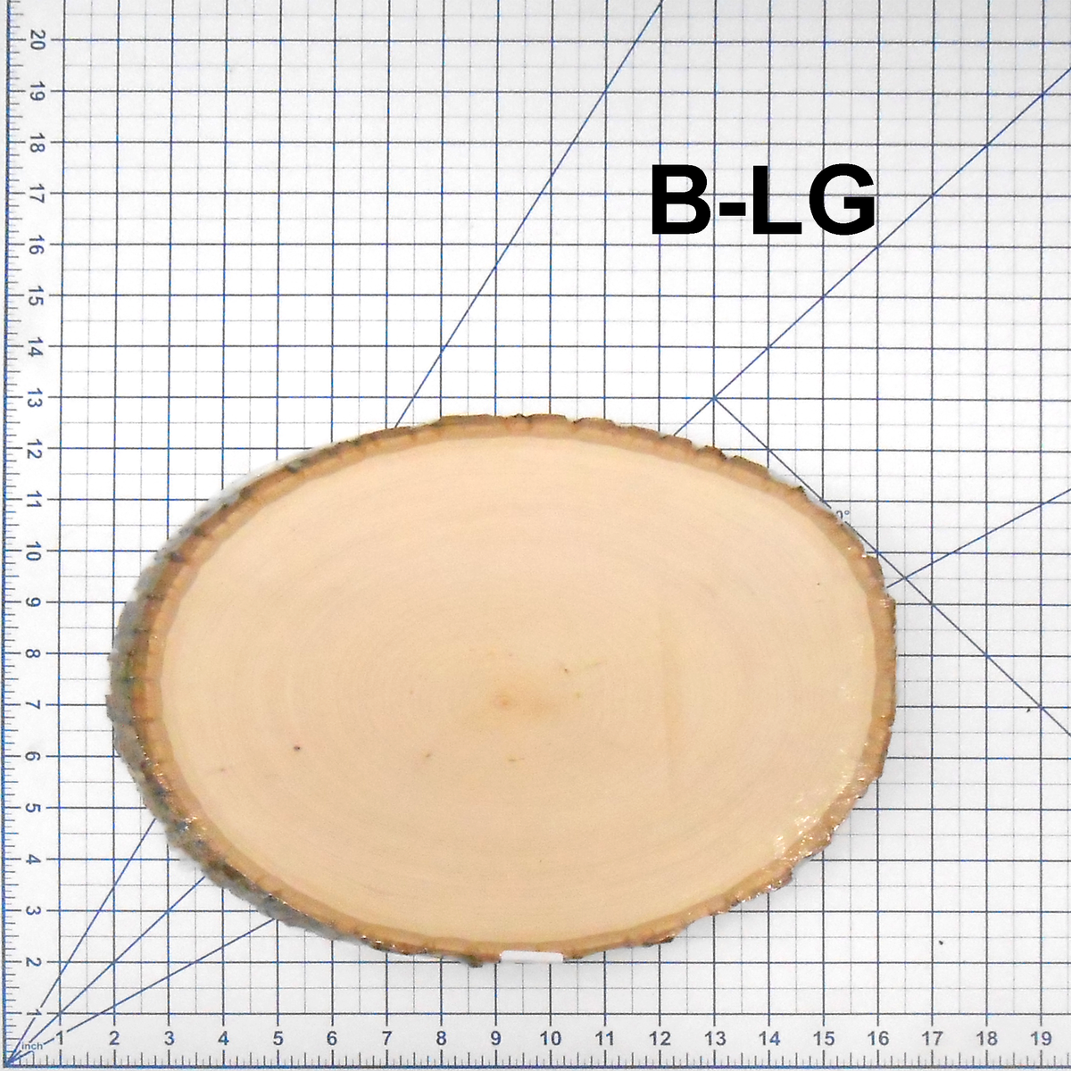 Large Basswood Rounds | The Wooden Teddy Bear - The Wooden Teddy Bear, Inc