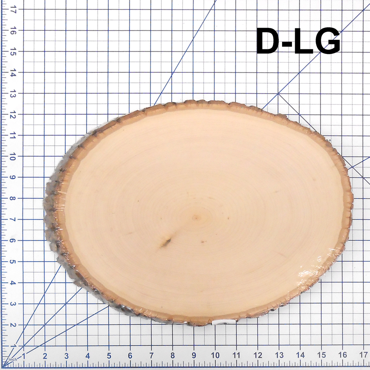 Large Basswood Rounds | The Wooden Teddy Bear - The Wooden Teddy Bear, Inc