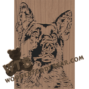 German Shepherd 2 Advanced