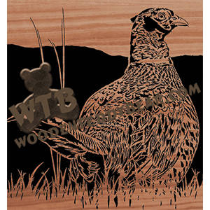 Pheasant in Grass - Advanced | Fretwork Scroll Saw Pattern | Wooden Teddy Bear