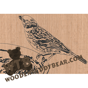 Sparrow in Birdbath - Advanced | Fretwork Scroll Saw Pattern | Wooden Teddy Bear