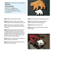 Scroll Saw Workbook (3rd Edition)