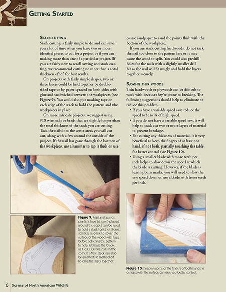 North American Wildlife Patterns for the Scroll Saw: 61