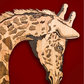 Animal Portraits in Wood
