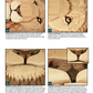 Intarsia Woodworking Projects
