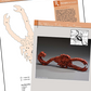 Zodiac Puzzles
