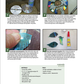 Big Book of Christmas Ornaments and Decorations