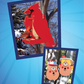 Wild & Wacky Bird Houses and Feeders