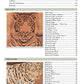 Woodworker's Pattern Book 2nd Edition