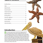 Seaside Intarsia Projects