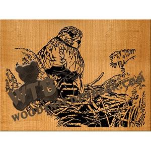 Merlin Hawk Advanced fretwork scroll saw pattern | The Wooden Teddy Bear