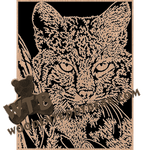 Bobcat Portrait | Fretwork Scroll Saw Pattern | Wooden Teddy Bear