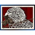 Bald Eagle Portrait | Fretwork Scroll Saw Pattern | Wooden Teddy Bear