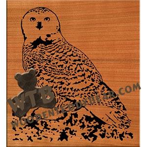 Snow Owl fretwork scroll saw pattern |The Wooden Teddy Bear