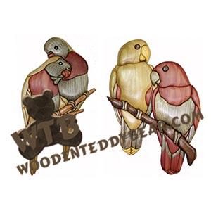 Electus Parrots & Lorikeets Intarsia scroll saw pattern | The Wooden Teddy Bear